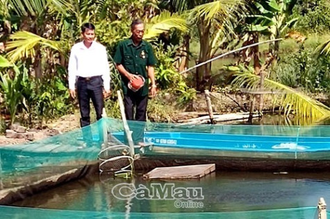 Học Bác cần cù trong lao động sản xuất