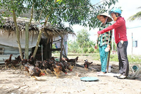 Tiết kiệm, vốn nhỏ, hiệu quả lớn