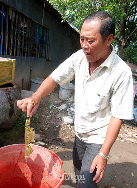 Nở rộ những mô hình sản xuất hiệu quả