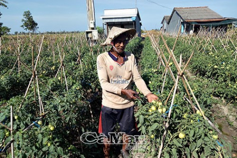 Điểm sáng giảm nghèo