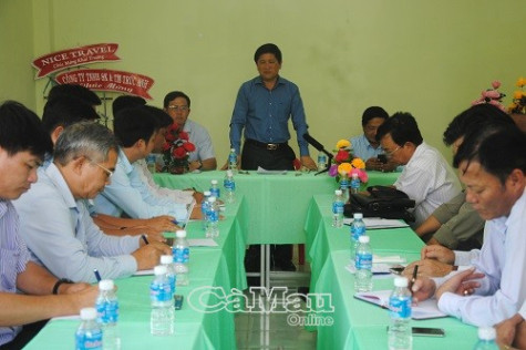 Mở rộng vùng trồng bồn bồn để đáp ứng nhu cầu thị trường