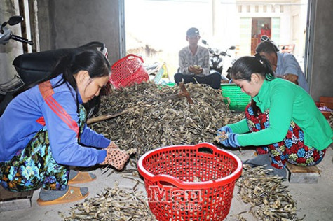 Khô khoai được giá