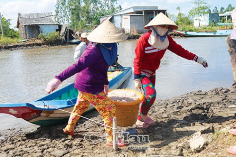 Phấn khởi vụ ruốc đầu năm