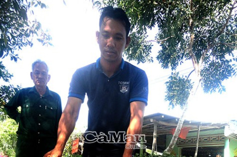 Xây dựng Đảng gắn với phát triển kinh tế