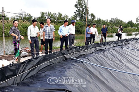 Giám sát quản lý Nhà nước  trên lĩnh vực sản xuất