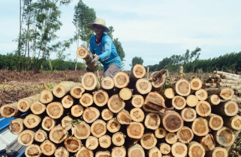 Lựa chọn, đầu tư trọng tâm vào ngành hàng chủ lực
