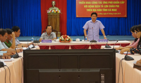 Lập ngay 2 chốt kiểm soát lượng heo nhập tỉnh để chặn dịch tả heo châu Phi