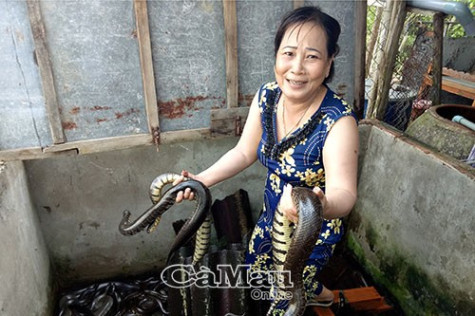 Vốn vay ưu đãi chiếc phao giảm nghèo