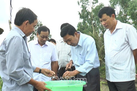 Chuyển biến việc cấp uỷ  sinh hoạt chi bộ cơ sở