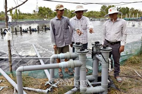 Xử lý nước nuôi tôm bằng tia cực tím ​