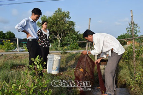 Hiệu quả nuôi tôm theo công nghệ Biofloc