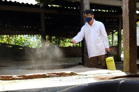 Nỗi lo dịch bệnh từ nguồn heo nhập tỉnh