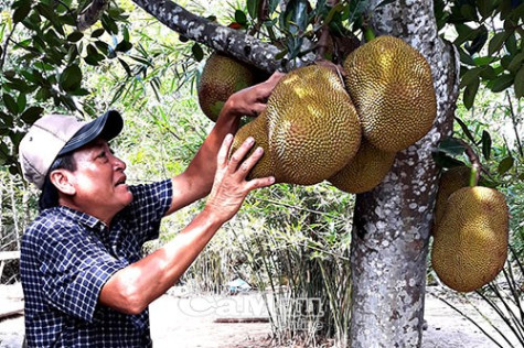 Góp sức giảm nghèo