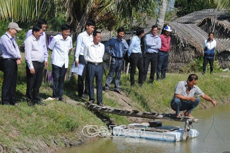 HTX Cái Bát cần mở rộng liên kết để nâng cao giá trị sản phẩm
