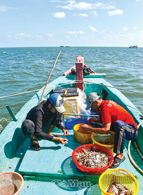 Sau chuyến ra khơi