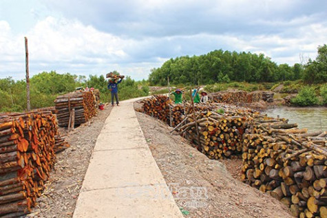 Phát triển thế mạnh chủ lực địa phương