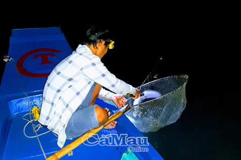 Đêm câu kiều