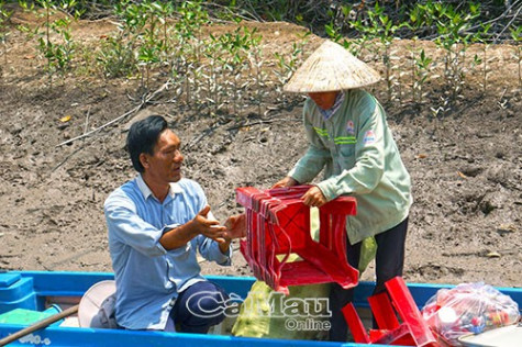 Hạnh phúc không màu