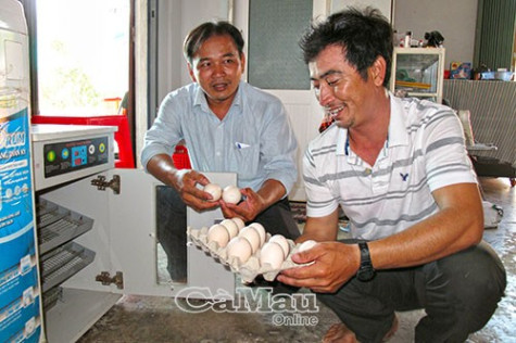 Vành đai nông thôn giàu đẹp