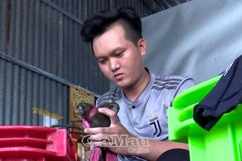 Cần xây dựng thương hiệu cua