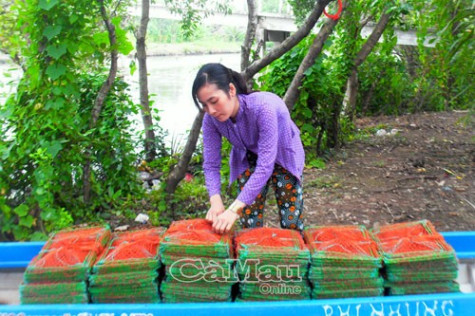Năng động tạo việc làm