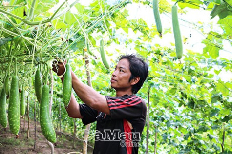 Phong Điền tích cực giảm nghèo