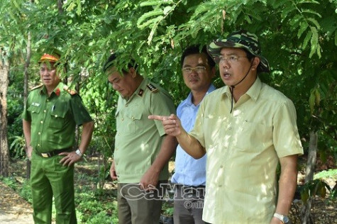 Phòng chống dịch tả heo châu Phi: phải kiểm soát tốt địa bàn giáp ranh