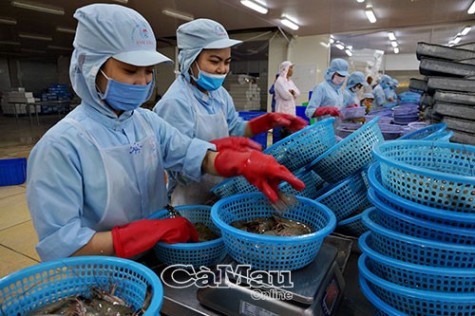 Đẩy mạnh tuyên truyền các chính sách bảo hiểm