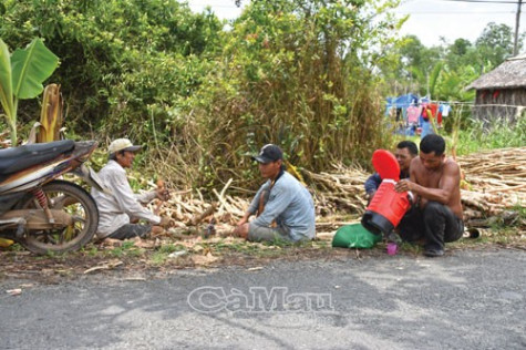 “Chợ” cừ tràm