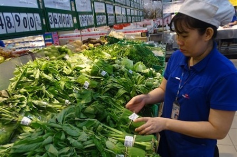 Co.opmart phủ xanh giỏ hàng