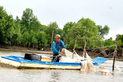 Chuyện giữ rừng phòng hộ