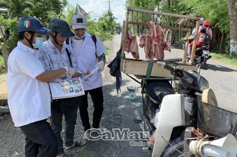Hạn chế tối đa sự lây lan của dịch tả heo châu Phi