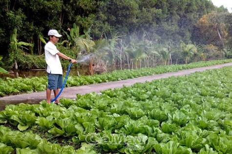Không chỉ bằng khẩu hiệu