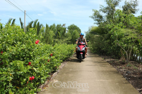 Trần Phán gian nan giảm nghèo