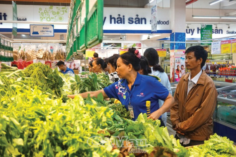 Phủ màu xanh cho ngành thực phẩm Việt