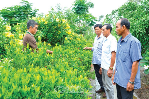 Sức bật ở một vùng quê