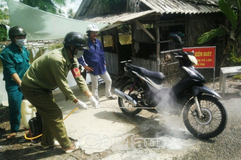 Thị trấn Sông Đốc xuất hiện ổ dịch tả heo châu Phi