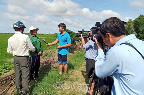 Con chữ trên những bước chân