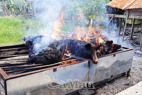 Cà Mau: 7/9 huyện, thành phố có dịch tả heo châu Phi