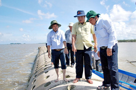 Hộ đê mùa mưa bão: Luôn trong tư thế sẵn sàng