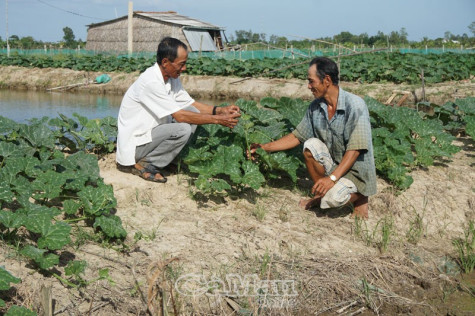 Dấu ấn nhiệm kỳ