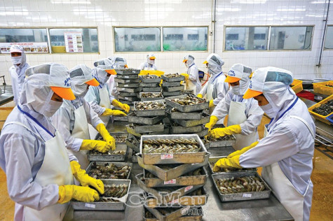 Doanh nghiệp ngoài Nhà nước nợ bảo hiểm còn cao