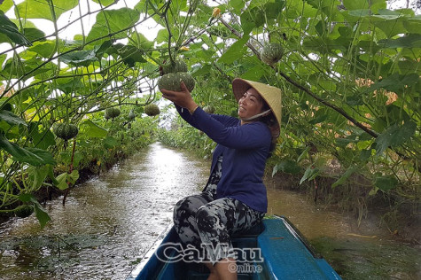 “Đàn ông làm được, đàn bà cũng làm được”