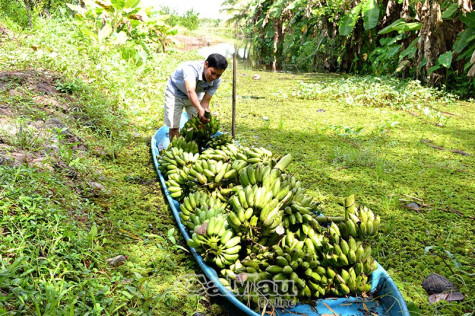 Đất Dớn tâm tình