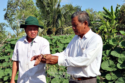 Trưởng ấp vì dân