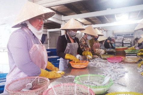 “Rào  cản” nông thôn mới ở xã ven biển