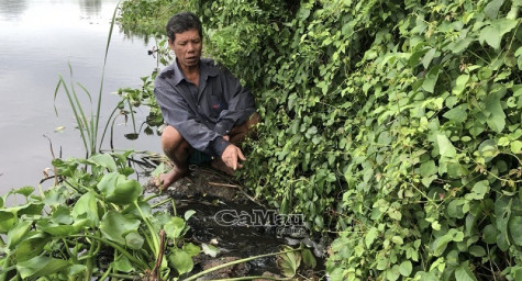 TP. Cà Mau: Nước từ bãi rác vẫn chảy ra môi trường xung quanh