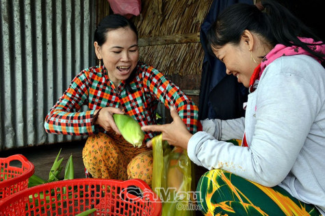 Trên quê hương Tân Hải