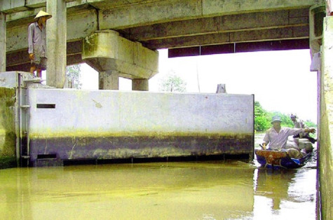 ĐBSCL lo chống hạn, mặn