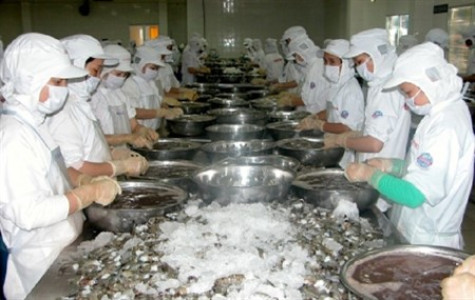 Động lực mới cho các doanh nghiệp xuất khẩu tôm